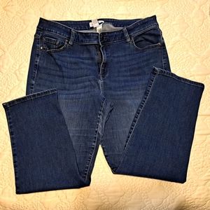 Lane Bryant Denim Jeans